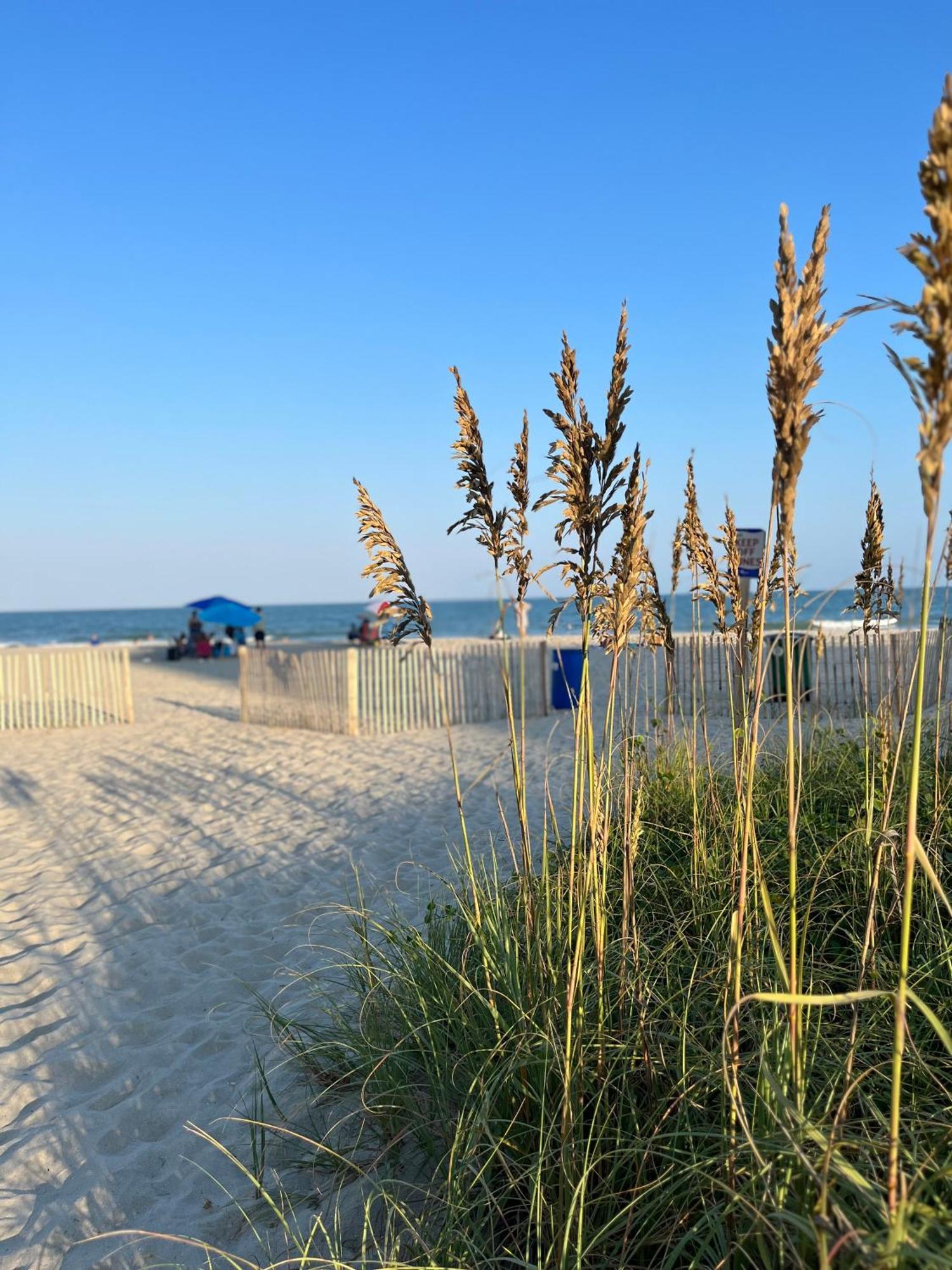 Ocean Dream Vacation Aparthotel Myrtle Beach Eksteriør bilde