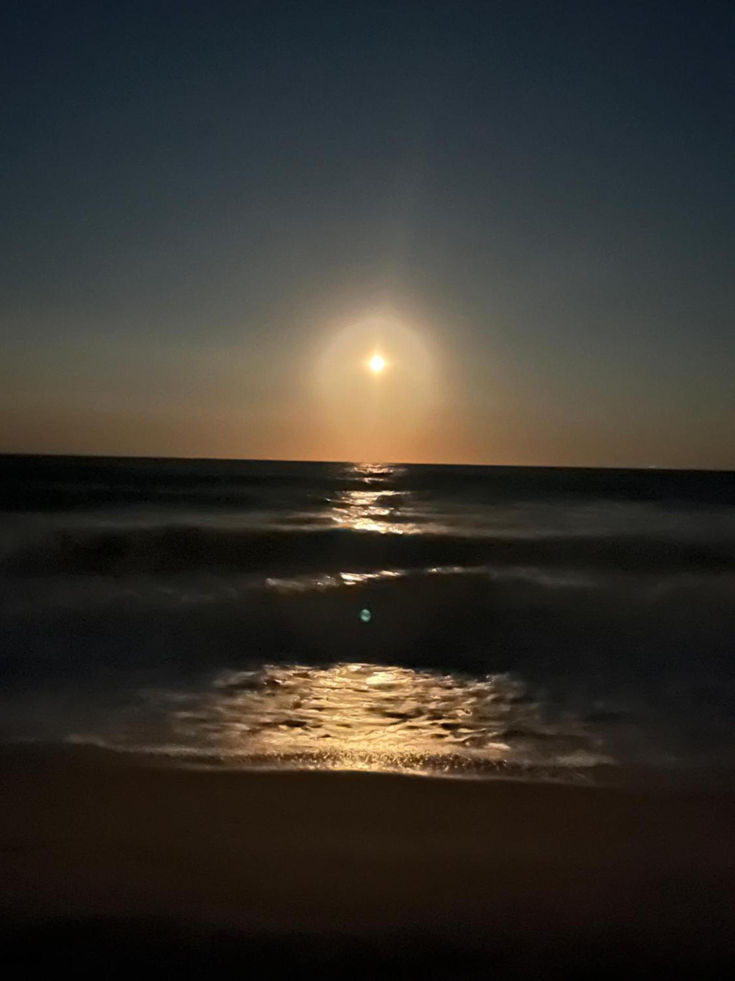 Ocean Dream Vacation Aparthotel Myrtle Beach Eksteriør bilde