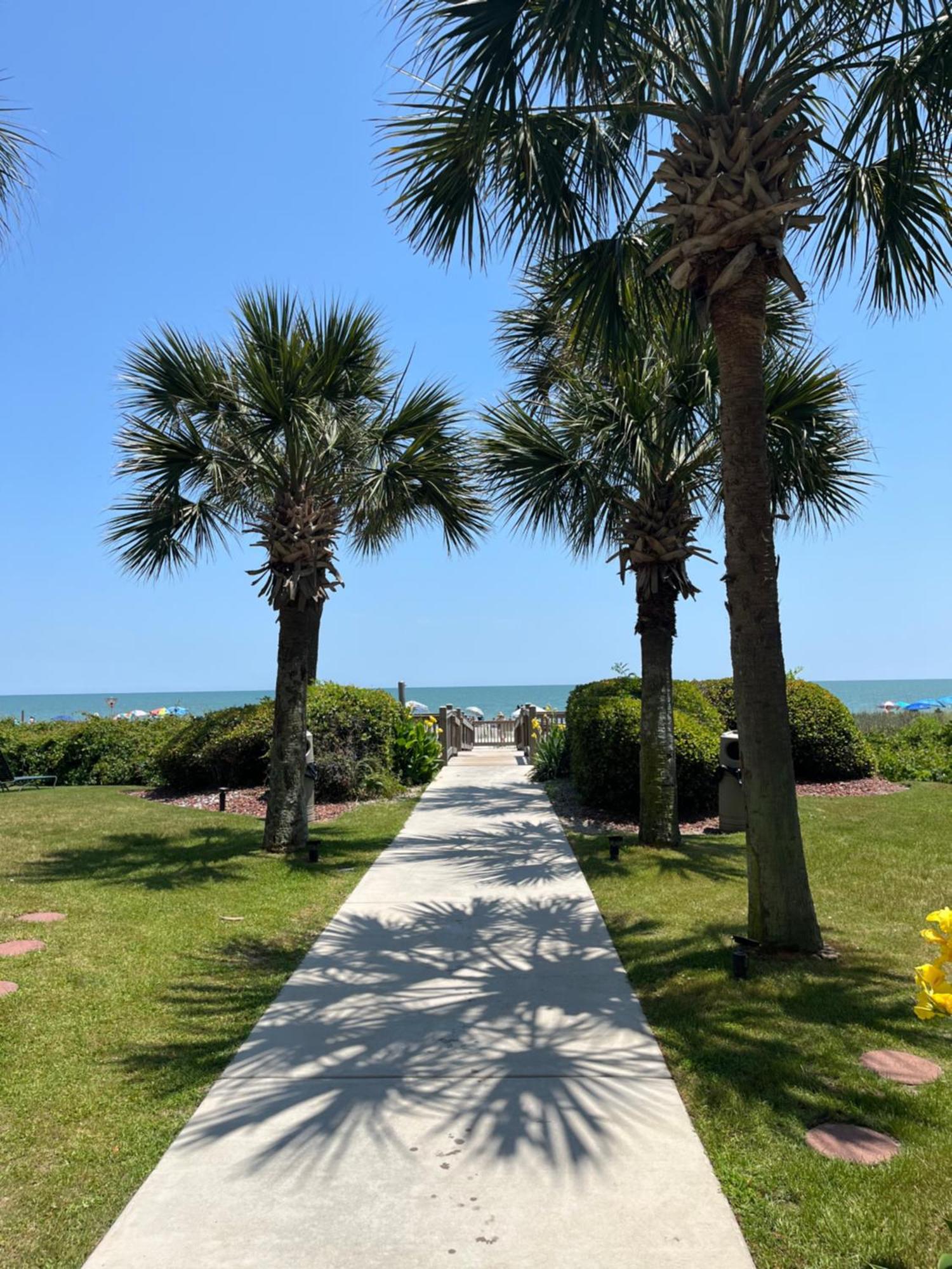 Ocean Dream Vacation Aparthotel Myrtle Beach Eksteriør bilde